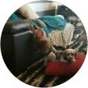 Nickolay Sheitanov profile picture